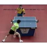 Giải Slovenia Open 2011